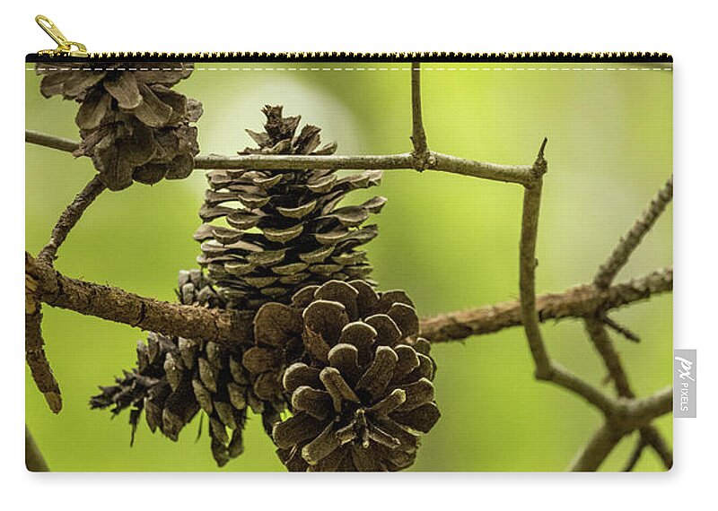 Cone Zip Pouch featuring the photograph Pine Cones by Rick Nelson