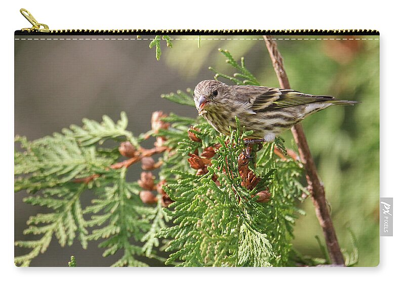 Autumn Zip Pouch featuring the photograph Pine Siskin by Brook Burling