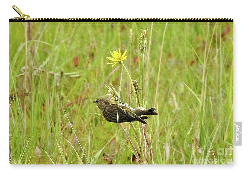 Pine Siskin Zip Pouch featuring the photograph Pine Siskin by Nicola Finch