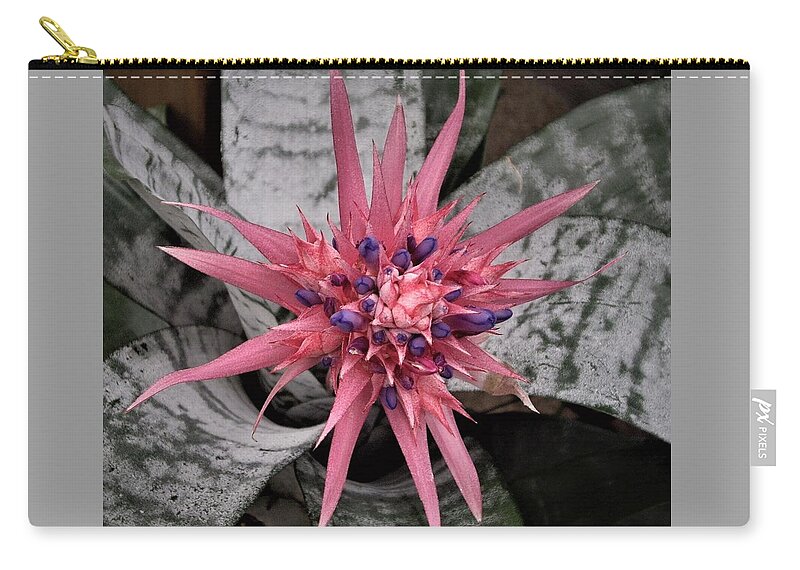 Bromeliad Carry-all Pouch featuring the photograph Pink and Purple Bromeliad Flower by Nancy Ayanna Wyatt