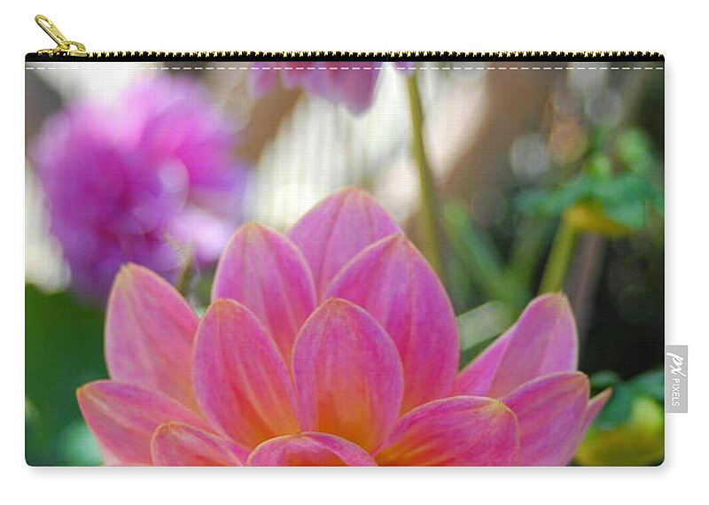 Dahlia Carry-all Pouch featuring the photograph Pink and Yellow Dahlias 1 by Amy Fose