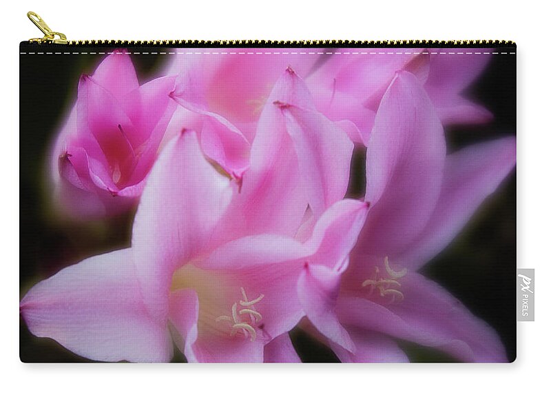 Flower Zip Pouch featuring the photograph Pink Belladonna Lilies by Teresa Wilson