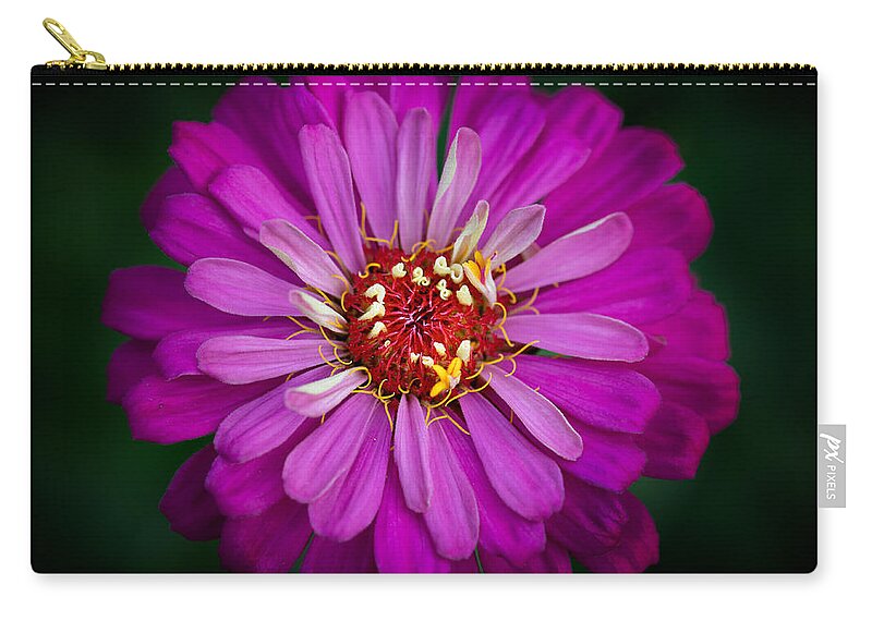Pink Zip Pouch featuring the photograph Pink Bloom by Carrie Hannigan