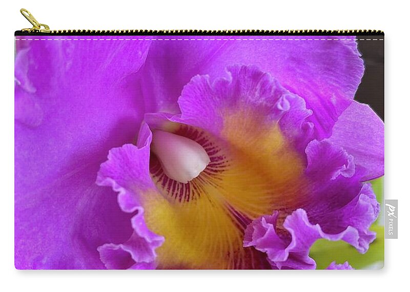 Pink Cattelaya Orchid Zip Pouch featuring the photograph Pink Cattelaya orchid by Lehua Pekelo-Stearns
