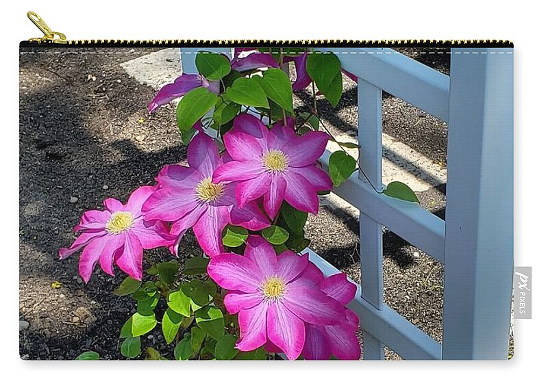 Clematis Flower Zip Pouch featuring the photograph Pink Champagne Clematis by Stacie Siemsen