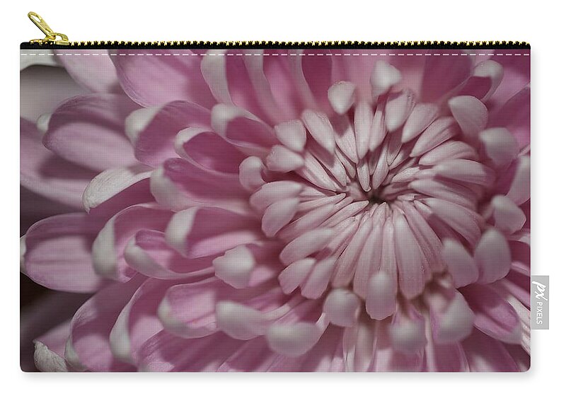 Chrysanthemum Carry-all Pouch featuring the photograph Pink Chrysanthemum by Mingming Jiang