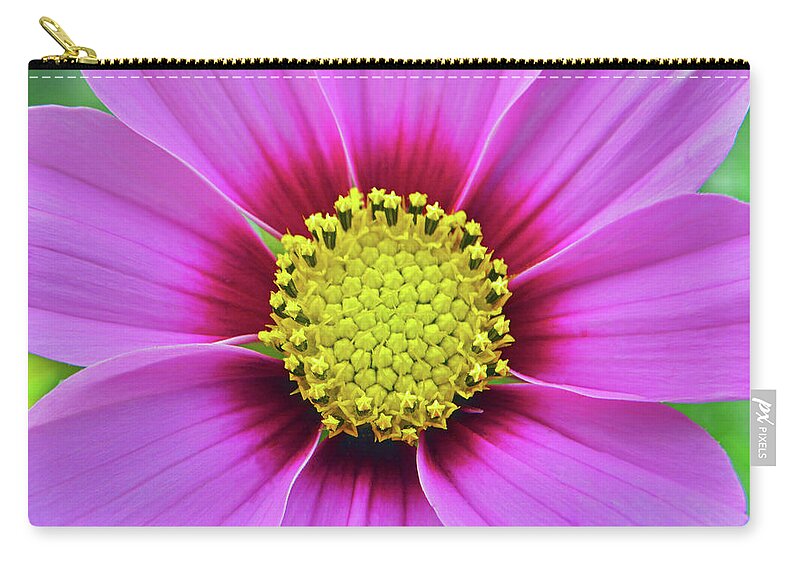 Pink Zip Pouch featuring the photograph Pink Cosmos Heart by Terence Davis