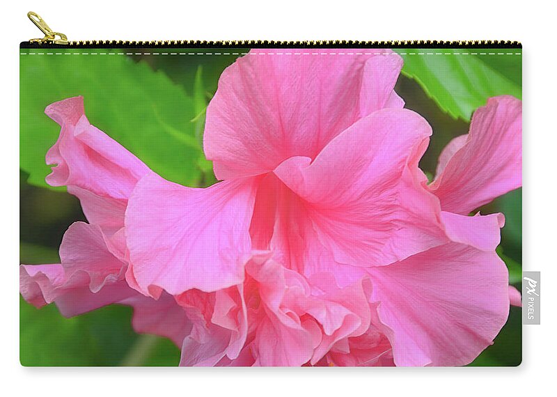 David Lawson Photography Zip Pouch featuring the photograph Pink by David Lawson