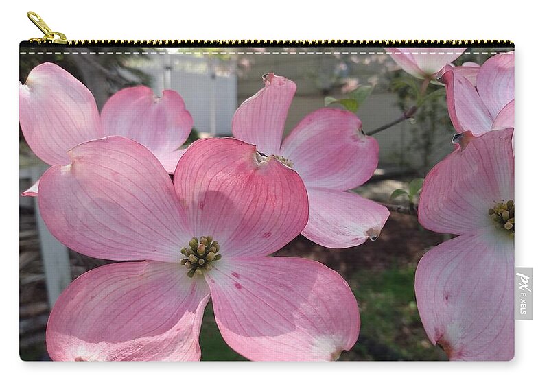 Pink Zip Pouch featuring the photograph Pink Dogwood Blossoms by Christopher Lotito