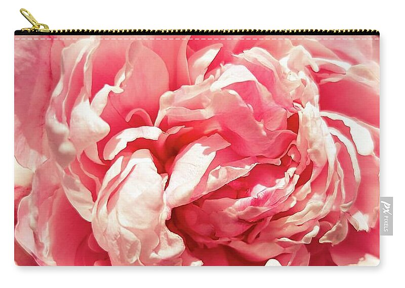 Flower Zip Pouch featuring the photograph Pink Floral Bloom by Annalisa Rivera-Franz
