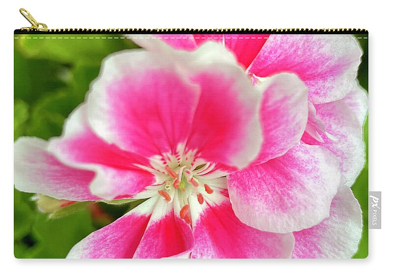 Geranium Zip Pouch featuring the photograph Pink Geranium by CAC Graphics