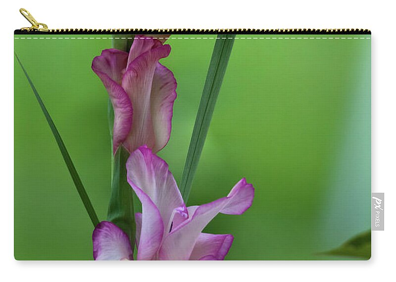 Bus Zip Pouch featuring the photograph Pink Gladiolus by Ed Gleichman