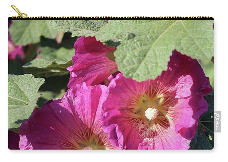 Hollyhock Zip Pouch featuring the photograph Pink Hollyhocks in Sunshine by Carol Groenen