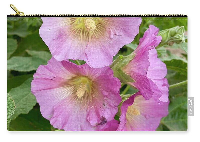 Hollyhocks Zip Pouch featuring the photograph Pink Hollyhocks with Soft Vignette by Carol Groenen