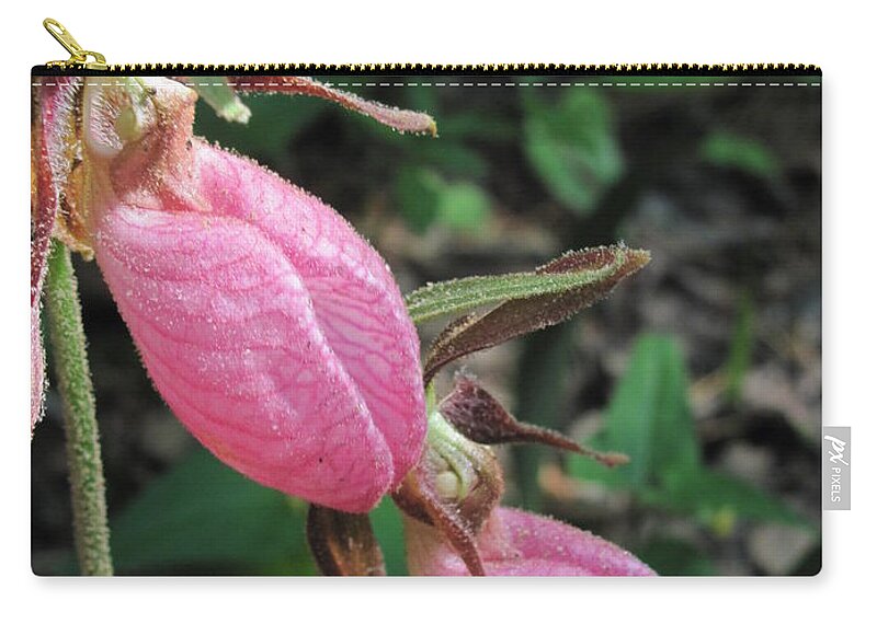 Lady Slippers Zip Pouch featuring the photograph Pink Lady Slippers by Anita Adams