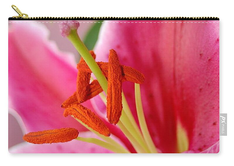 Lily Carry-all Pouch featuring the photograph Pink Lily 6 by Amy Fose