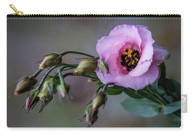 Flower Zip Pouch featuring the photograph Pink Lisianthus Spray by Patti Deters