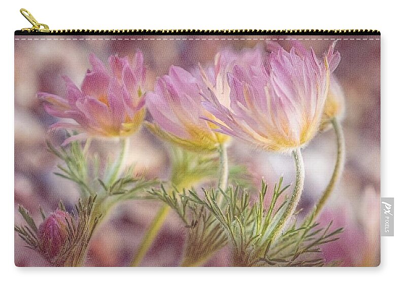 Spring Zip Pouch featuring the photograph Pink Pasque Flowers by Susan Rydberg