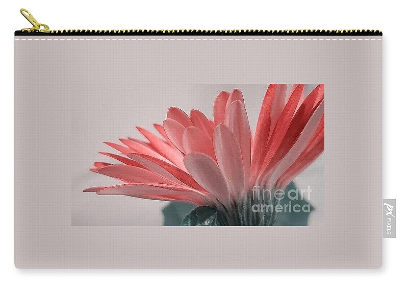 Gerber Daisy Zip Pouch featuring the photograph Pink Petals by Chad and Stacey Hall
