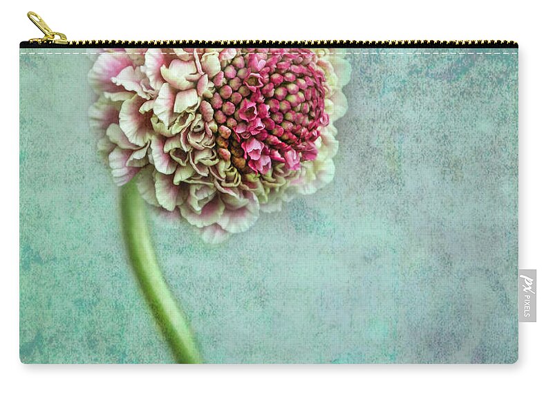 Flowers Zip Pouch featuring the photograph Pink Pincushion by Shara Abel