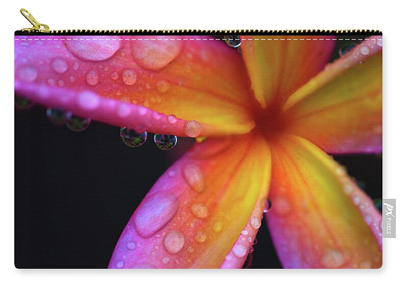 Plumeria Zip Pouch featuring the photograph Pink Plumeria by Christopher Johnson