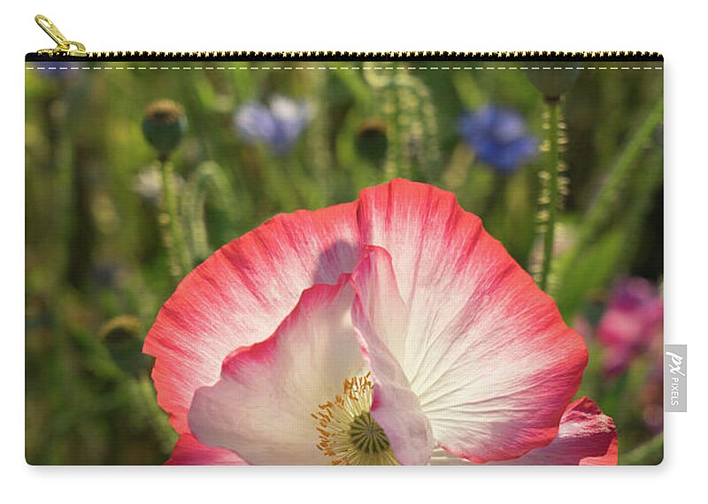Poppy Zip Pouch featuring the photograph Poppy blossom in the sunlight by Adriana Mueller