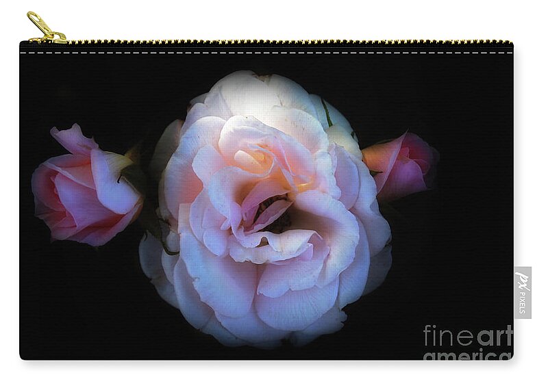 Flowers Zip Pouch featuring the photograph Pink Rose by Elaine Teague