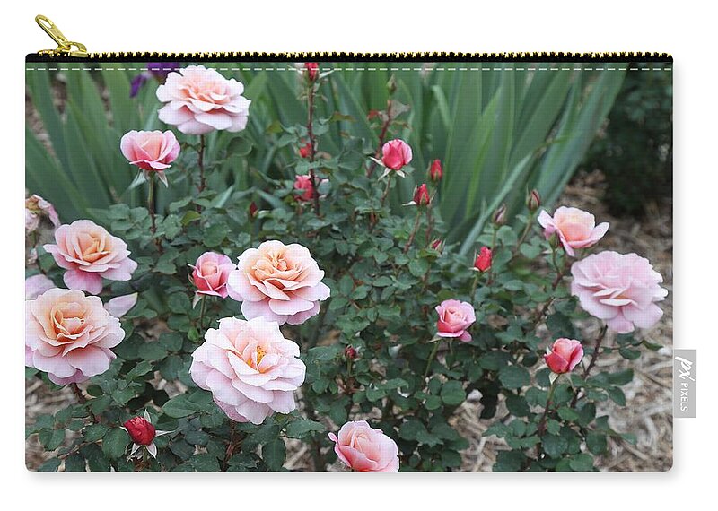 Roses Zip Pouch featuring the photograph Pink Roses by Mingming Jiang