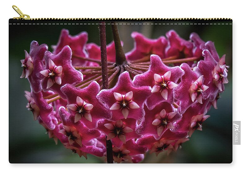 Pink Zip Pouch featuring the photograph Pink Silver Porcelain Flower by Steven Sparks