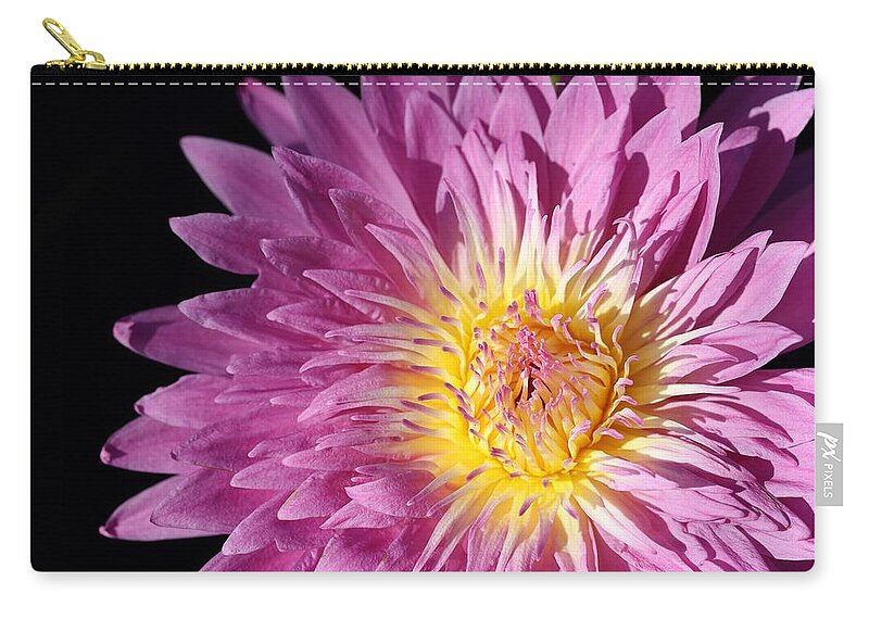 Water Lily Carry-all Pouch featuring the photograph Pink Splendor by Mingming Jiang