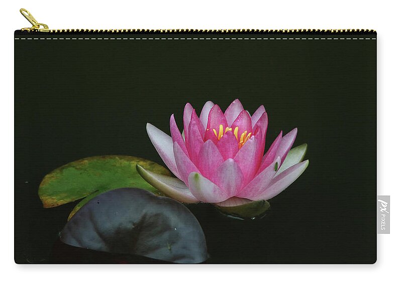 Water Lily Zip Pouch featuring the photograph Pink Water Lily with Dark Background by Trina Ansel