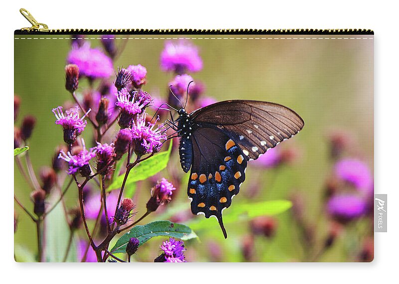 Pipevine Swallowtail Zip Pouch featuring the photograph Pipevine Swallowtail by Scott Burd