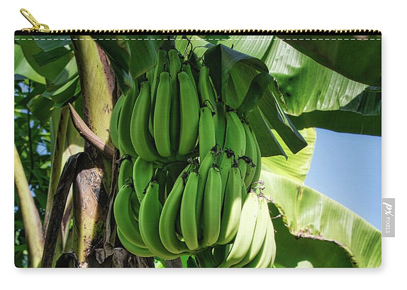 Plantain Zip Pouch featuring the photograph Plantains by Portia Olaughlin