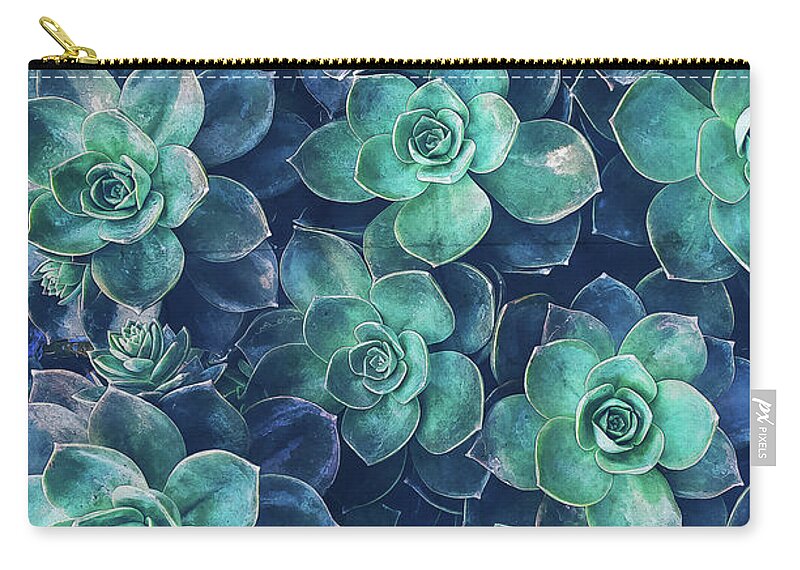 Plants Zip Pouch featuring the photograph Plants of Blue And Green by Phil Perkins