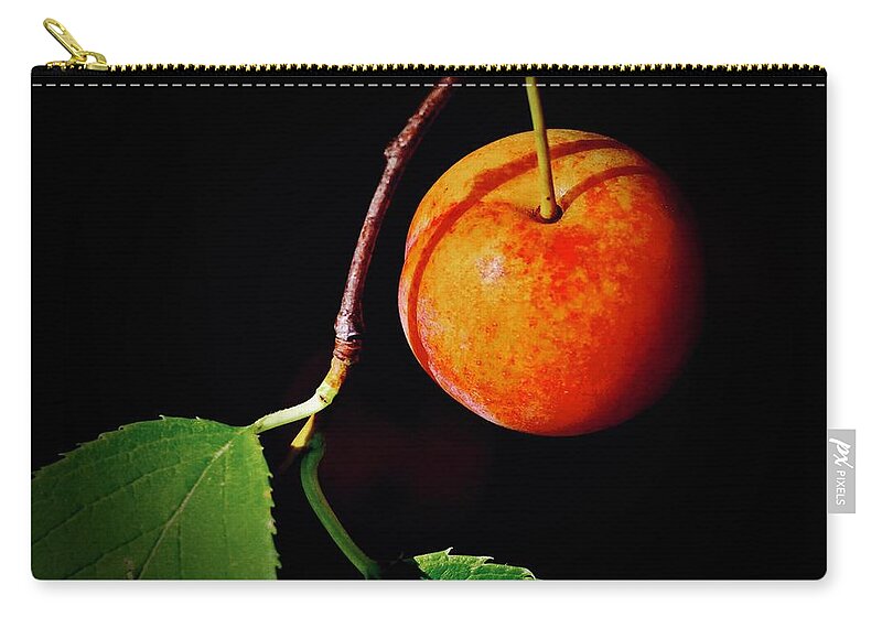 Plum Carry-all Pouch featuring the photograph Plum Drama by Sarah Lilja
