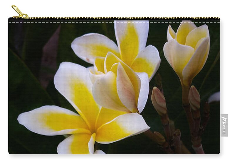Plumeria Zip Pouch featuring the photograph Plumeria in Bloom by Bonny Puckett