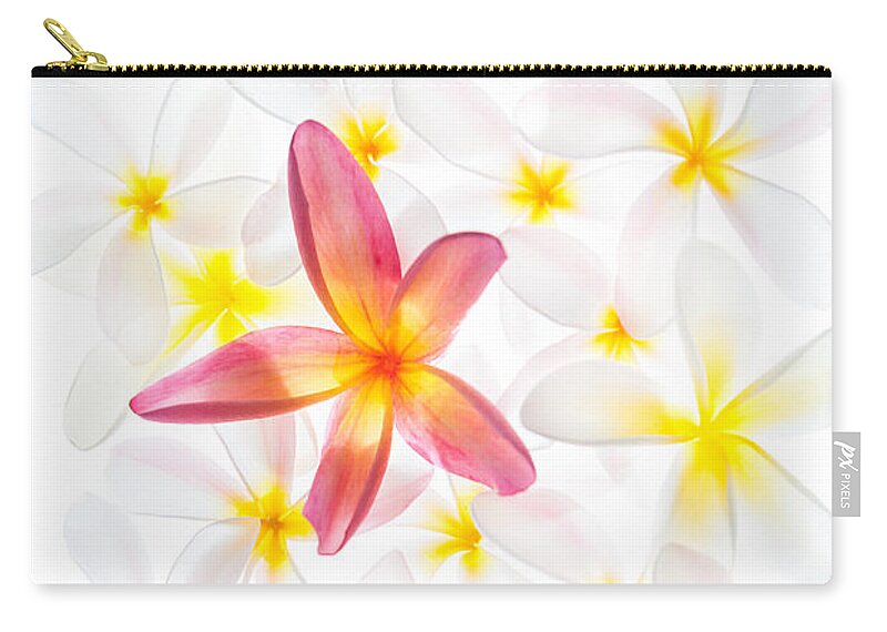 Photograph Zip Pouch featuring the photograph Plumerias in Bloom 6 by John A Rodriguez