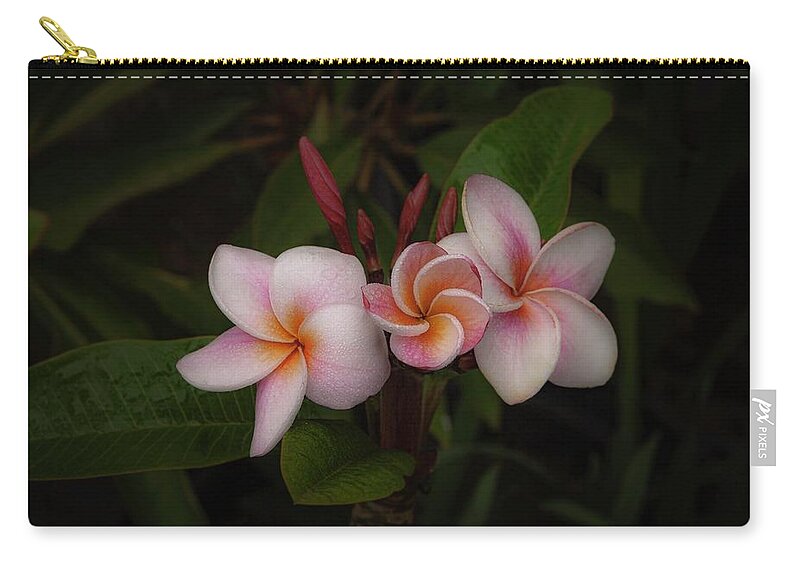 Photographs Zip Pouch featuring the photograph Plumerias In Bloom by John A Rodriguez