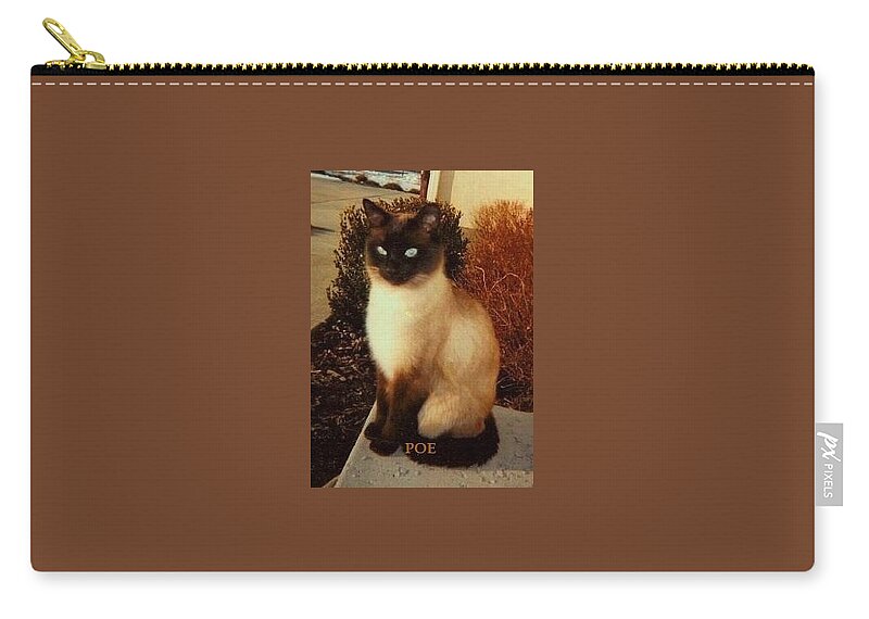Cats Carry-all Pouch featuring the photograph Poe by Diane Strain