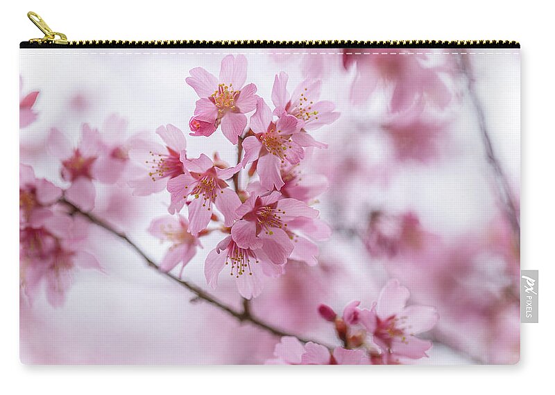 Prunus Campanulata Zip Pouch featuring the photograph Poetic by Lara Morrison