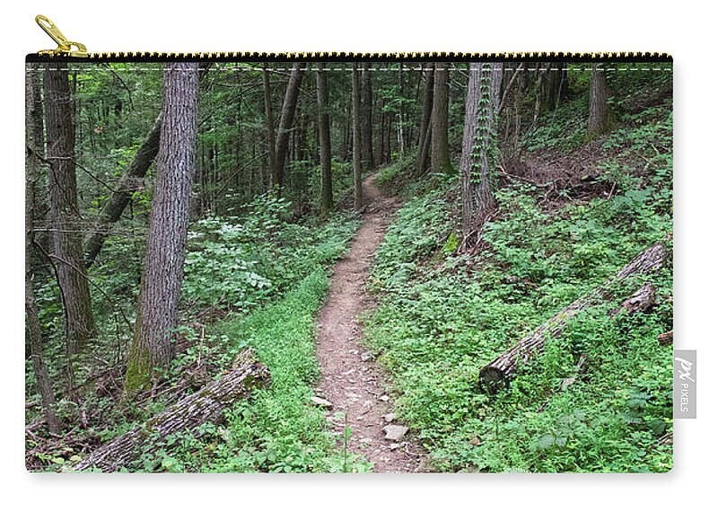 Obed Carry-all Pouch featuring the photograph Point Trail At Obed 13 by Phil Perkins