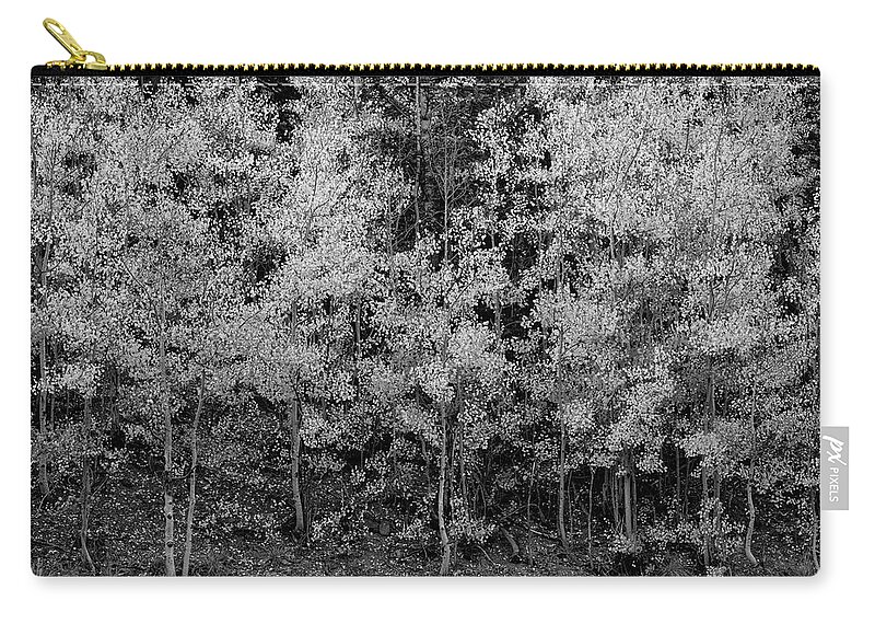 Fall Carry-all Pouch featuring the photograph Pointillistic Aspens In Black and White by Denise Bush