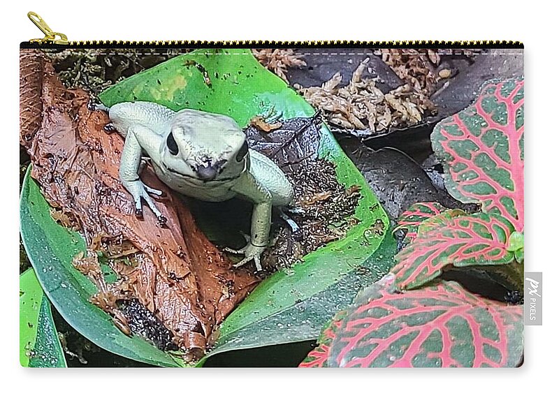 Poison Zip Pouch featuring the photograph Poison Dart Frog 1 by Elena Pratt