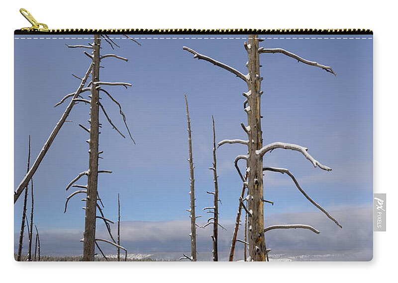 Yellowstone National Park Zip Pouch featuring the photograph Pole Pines in Yellowstone by Cheryl Strahl