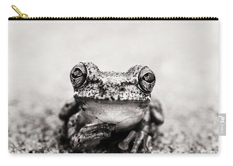 Frog Zip Pouch featuring the photograph Pondering Frog Sepia by Laura Fasulo