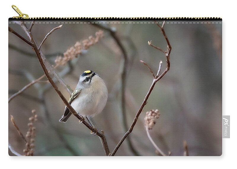 Bird Carry-all Pouch featuring the photograph Poofy Kinglet by Linda Bonaccorsi