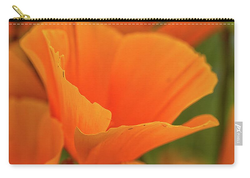 Mexican Poppies Zip Pouch featuring the photograph Poppies by Bob Falcone