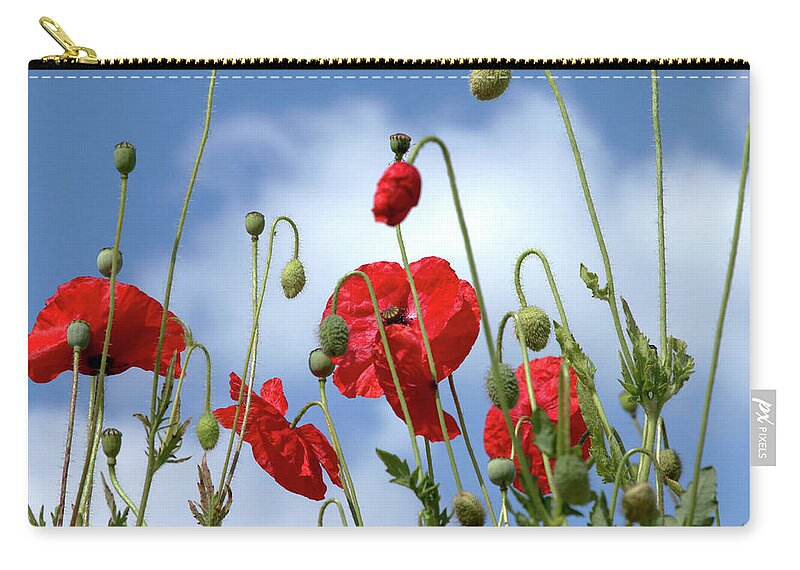 Poppies Zip Pouch featuring the photograph Poppy Art by Stephen Melia