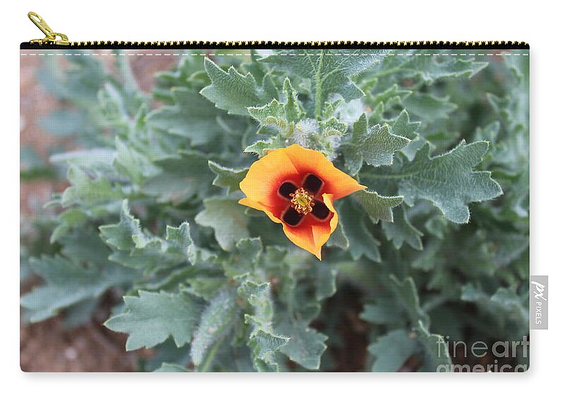 Unknown Poppy Zip Pouch featuring the photograph Poppy by Doug Miller