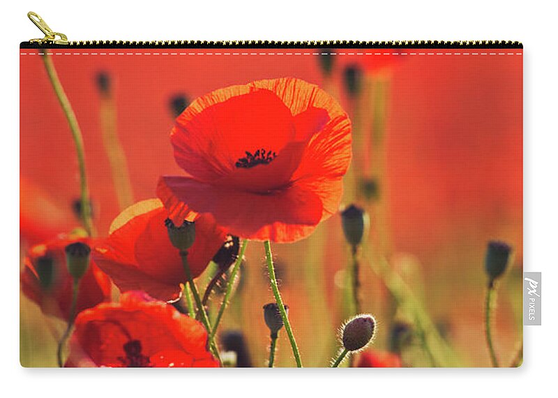 Poppies Zip Pouch featuring the photograph Poppy field 3 by Remigiusz MARCZAK